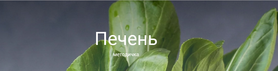 [Валентина Жукова] Методичка Печень + аналоги с ро_0.png